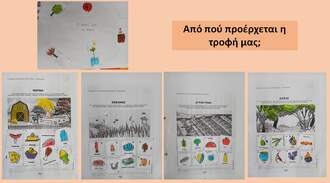 Από πού έρχεται η τροφή;
