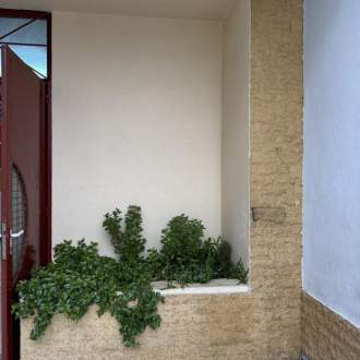 Πράσινα παρτέρια