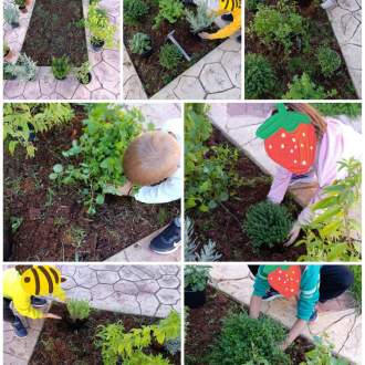 Δημιοργία βοτανόκηπου