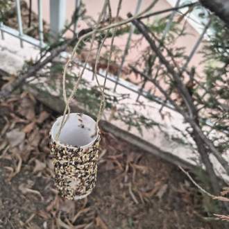 • «Μικρές πράξεις φροντίδας για τα πουλιά του χειμώνα»