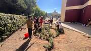 Φυτεύουμε και καλλιτεχνούμε το κλειδί του Σολ! Φυτεύουμε στην Αυλή μας.