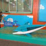 Εικόνα https://www.ecoschools.gr/sites/default/files/styles/thumbnail_sq_medium/public/school-news/10671-img_20241010_094448.jpg?itok=nXMMRzd7