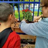 Σπείρε αγάπη