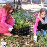 Η Λόλα και  η Μαντώ, μαθήτριες της περυσινής ΣΤ΄ περιποιούνται τον σχολικό κήπο..