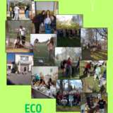 ECOSCHOOLS